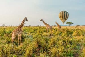 Travel Guide to Tanzania: Exploring the Heart of Africa