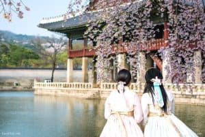 Travel Guide to South Korea: Exploring the Land of the Morning Calm