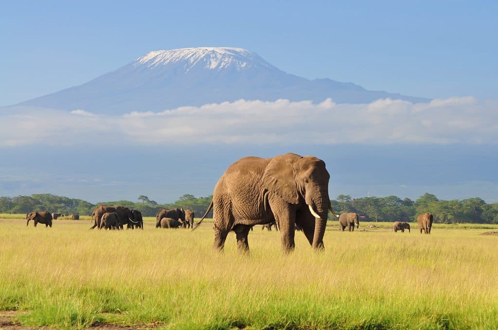 Travel Guide to Kenya: A Journey Through the Heart of East Africa